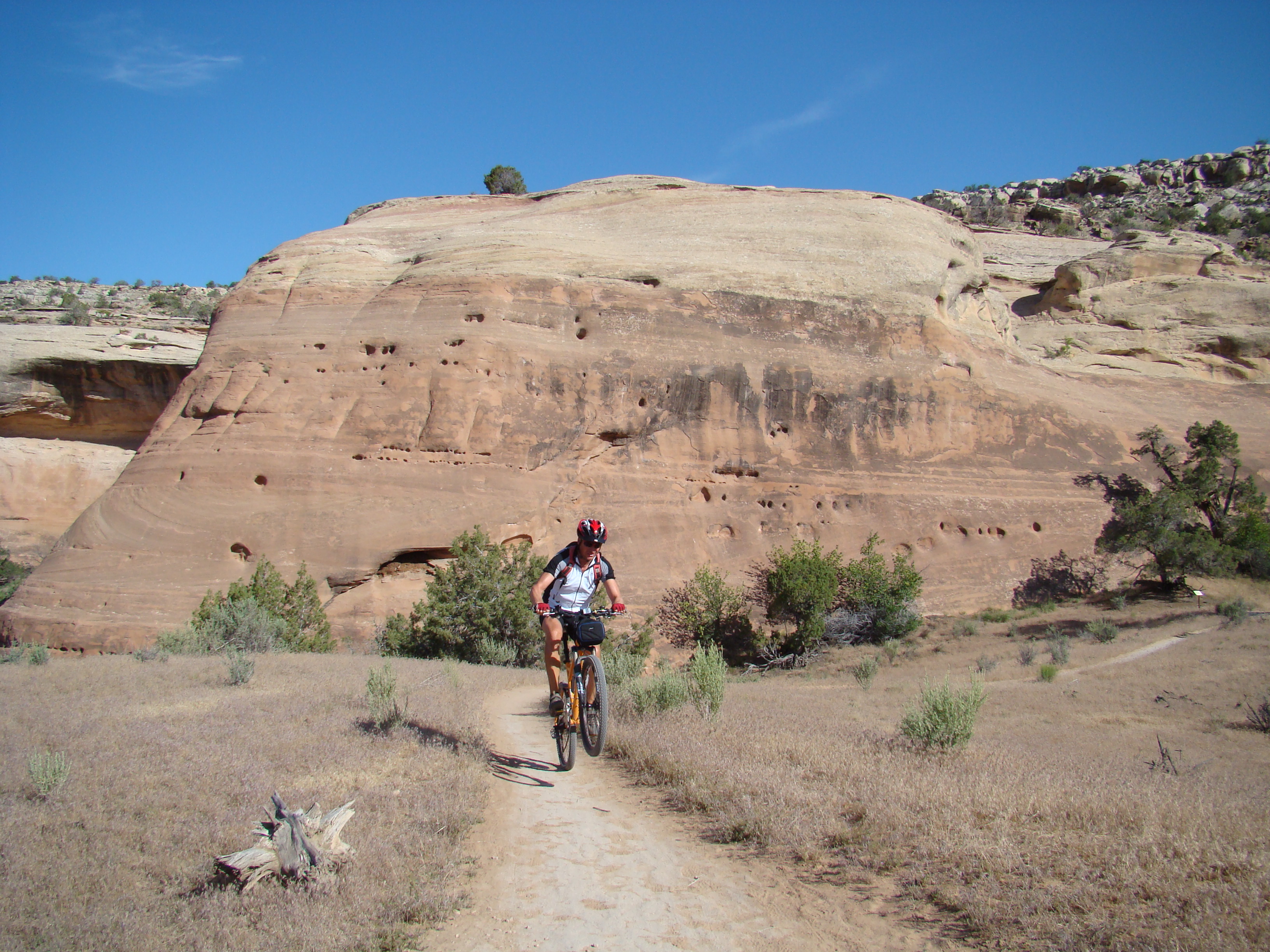 BIKE-FRUITA